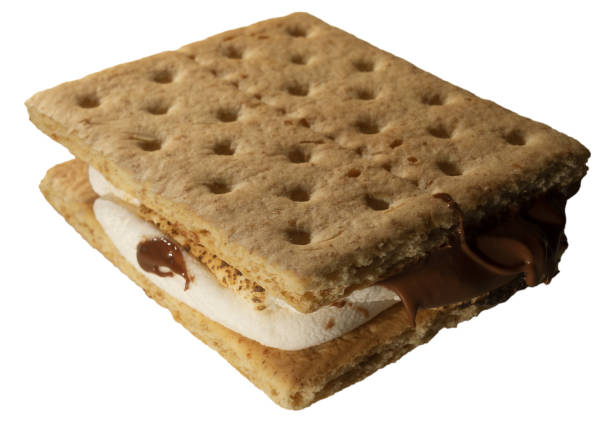 istock Camping's favorite dessert around the campfire 1684600658
