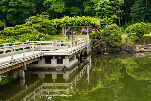 Serene green space featuring Japanese-inspired gardens, walkways & structures, plus a duck pond, Mississauga, Canada.