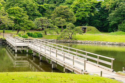 A red Japanese garden bridge over a small green river among vegetation