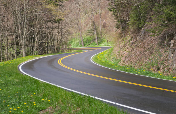 istock Road curves in the Smoky Mountains 168462099