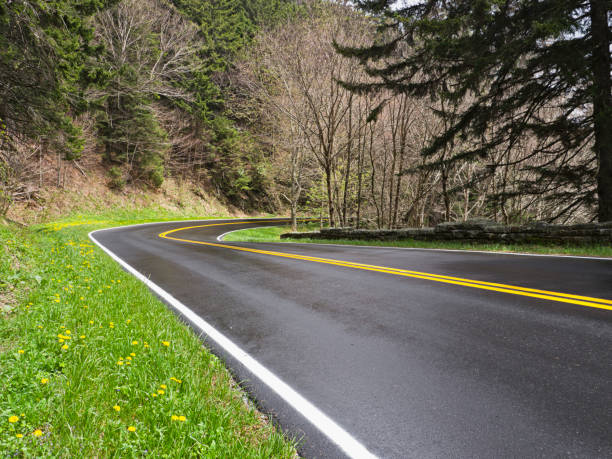 istock Road curves in the Smoky Mountains 168462313