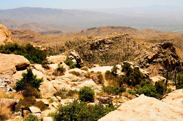istock East Tucson Sonora Desert Arizona 1684624156