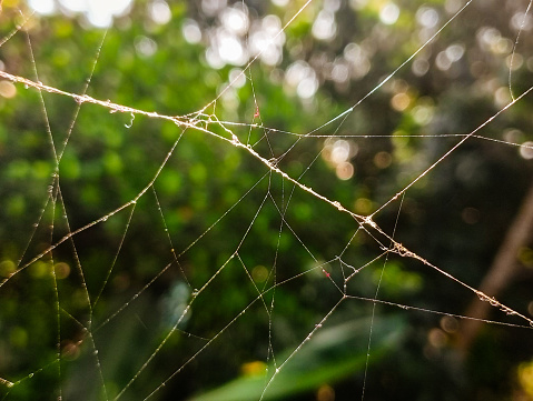 Close up of spider webs on a metal frame in abandoned garage.