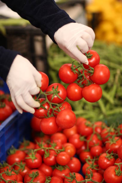istock tomatoes at the farmers market 1684680906