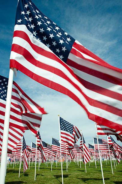 istock Field Full of Waving American Flags 168469845
