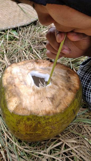 istock Drink of coconut fresh 1684708313