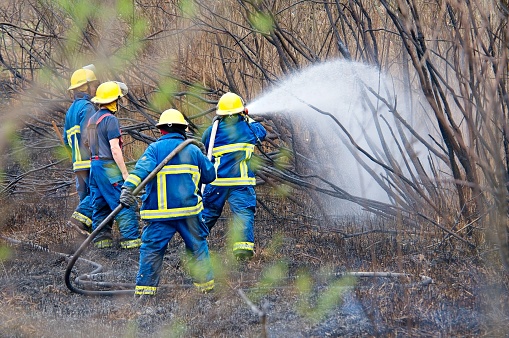 Image are intended for editorial use - Firefighters Fighting a Forest Fire