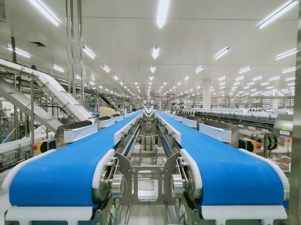 Empty conveyor belt in production line of food processing factory. Poultry processing industry. Raw chicken meat production line. Poultry processing plant. Automatic machine in broiler meat process. cinta transportadora vacía en la línea de producción de la fábrica de procesamiento de alimentos. industria de procesamiento de aves de corral. línea de producción de carne cruda de pollo. planta procesadora de aves de corral. máquina automática en