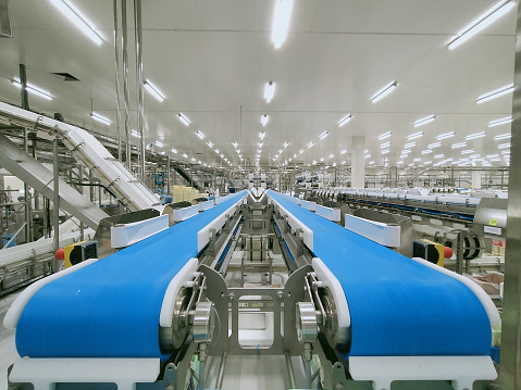 Empty conveyor belt in production line of food processing factory. Poultry processing industry. Raw chicken meat production line. Poultry processing plant. Automatic machine in broiler meat process.