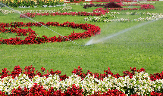 wide flowery garden with automatic irrigation system in operation during the summer