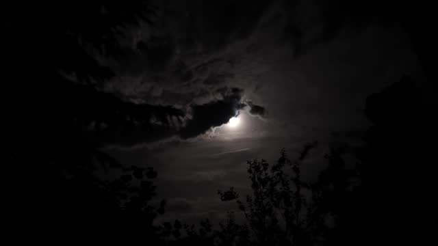 Moon covered by dark clouds at night, time lapse with cloudy landscape and moonlight motion behind fir tree silhouette, dramatic sky at night