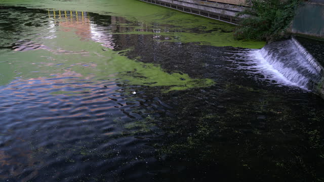 Contaminated River