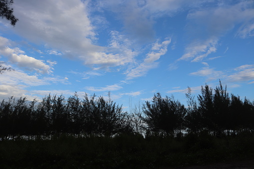view of blue sky and trees