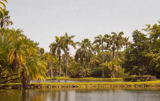 Botanic Garden in Miami 2