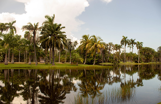 Botanic Garden in Miami 4