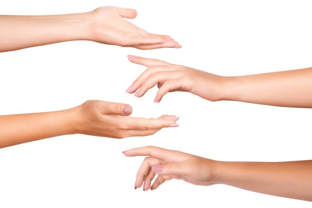 istock Women's hands. on isolated transparent background 1684762219