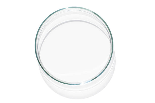 istock Empty Petri dish. With transparent bottom. on isolated transparent background 1684763298