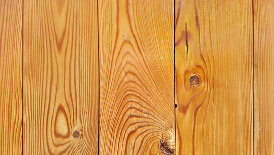 Rustic knotted lacquered Pinewood planking high resolution background texture stock image.