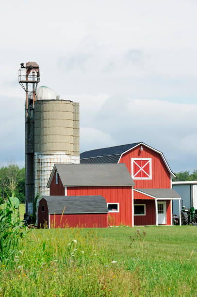 Midwest Farm A typical Midwest farm on a summer day.. michigan farmland stock pictures, royalty-free photos & images