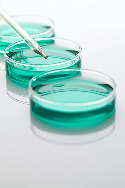 istock Petri Dishes and Pipette 168482028