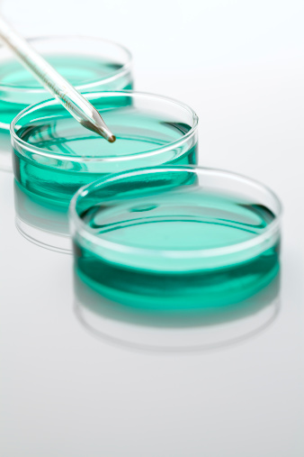Petri Dishes and Pipette on white surface with shadow.
