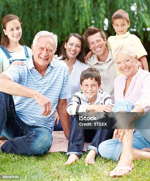 The Perfect Family Picnic Stock Photo - Download Image Now - Active Seniors, Adult, Affectionate