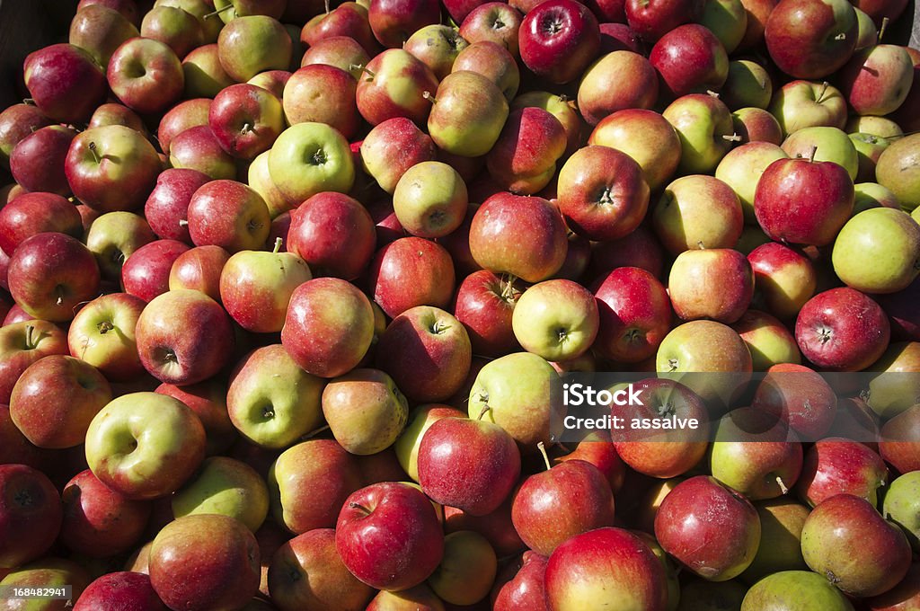 Full frame apple background freshly picked apples collected in a huge container at harvest. SEE RELATED IMAGES HERE: Braeburn Apple Stock Photo