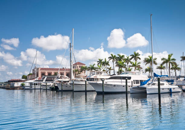 istock Boat Dock in the Tropics 168484634