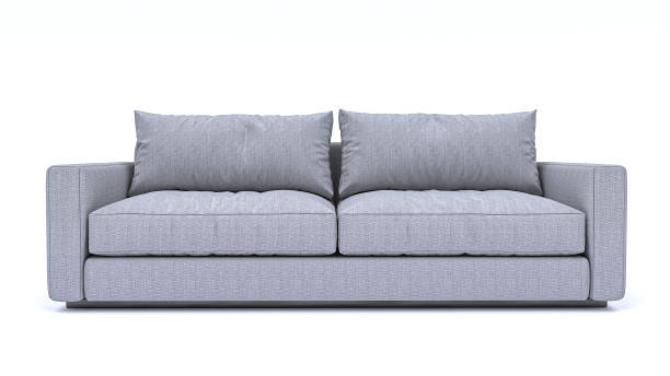 Modern Sofa isolated on white background. Furniture Collection