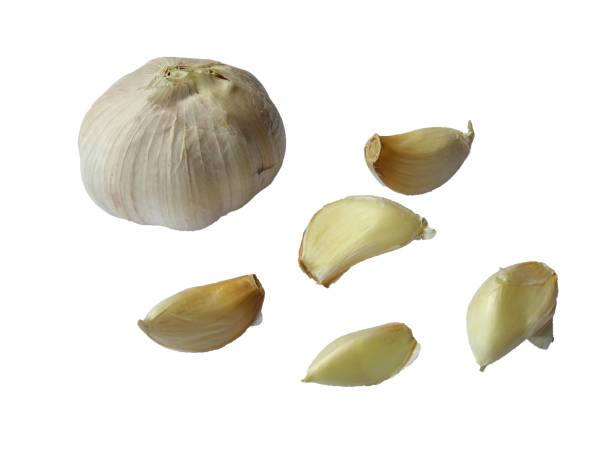 istock White onion on white background. Fresh garlic isolated on white background with clipping path. White onion or garlic 1684874513