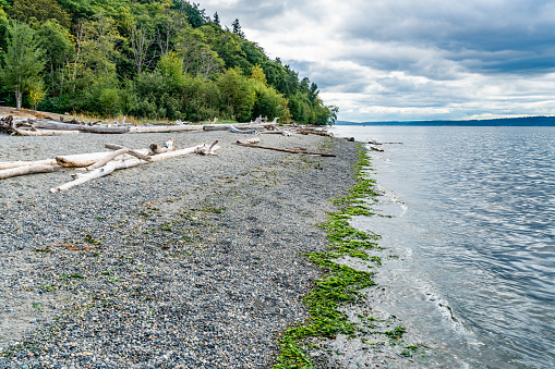 A view of the shoreline at Seahurst Beach Park in Burien, Washington.