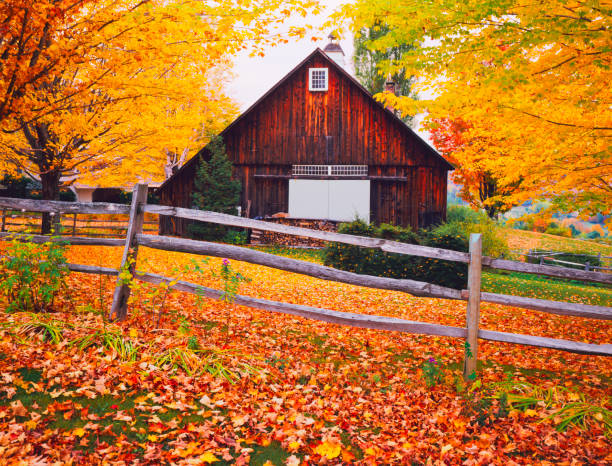 istock Autumn country side in Vermont 168490403