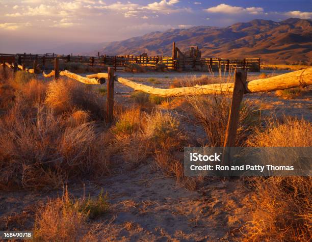 Foto de Beleza Do Wild West e mais fotos de stock de Artemísia - Artemísia, Califórnia, Amarelo