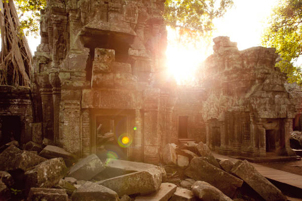 Ancient ruins and old tree near Siem Reap Province, Cambodia