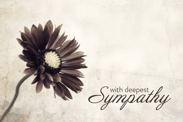 istock Sympathy card with flower on grunge background 1684918763