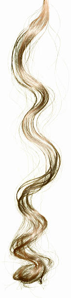 capelli biondi pezzo su bianco - human hair curled up hair extension isolated foto e immagini stock