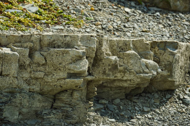 istock natural resources, natural stone. environment. texture and background for decoration 1684939706