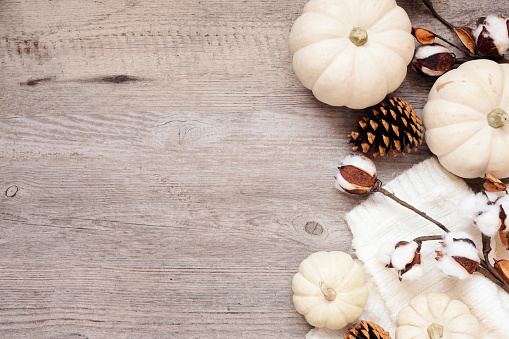 Cozy autumn side border with sweater, white pumpkins natural decor. Top down view over a desaturated wood background.