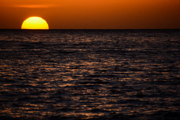 istock The Sun Setting in the Sea 1684968044