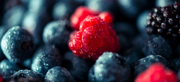 Mix of fresh blueberries, rasberries and marion berries.