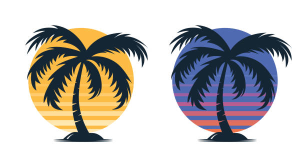 ilustrações de stock, clip art, desenhos animados e ícones de vector palm trees, palm tree icon set isolated. palm silhouettes on sunset background. design template for tropical, vacation, beach, summer concept. vector illustration. front view - tree single word green fruit