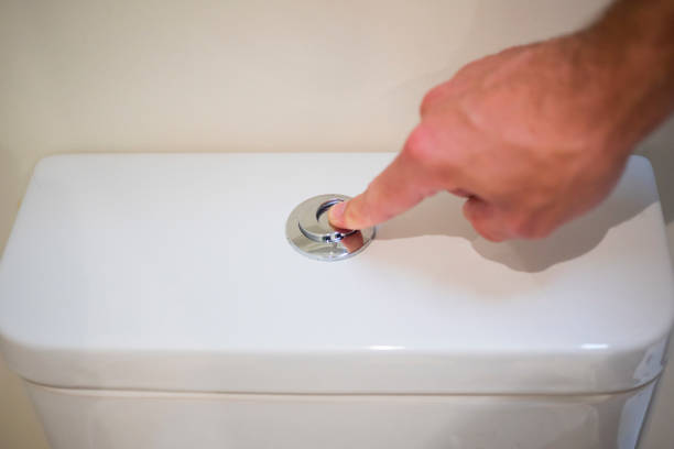 istock Dual flush toilet button to save water 1685006219