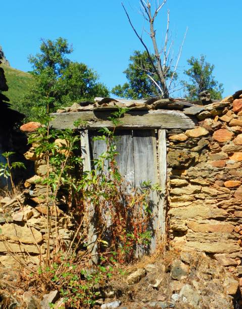 istock ancient door in rural landscapes 1685009915