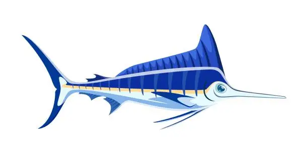 Vector illustration of Blue marlin character vector powerful sea creature