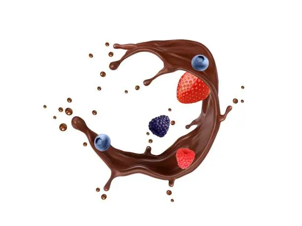 Vector illustration of Chocolate cream milk drink splash with berries