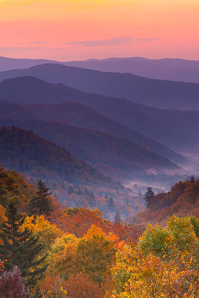 herbst sonnenaufgang über den bergen - great smoky mountains great smoky mountains national park fog mountain stock-fotos und bilder