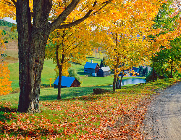 automne campagne dans le vermont - appalachian trail dirt road footpath appalachian mountains photos et images de collection