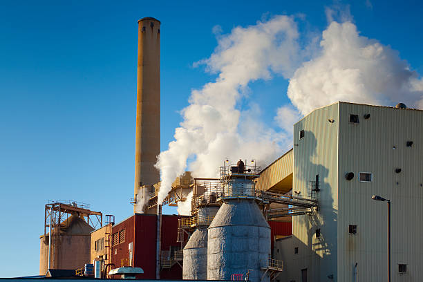 istock Paper Mill Emitting Polluted Steam into Clear Sky 168504699