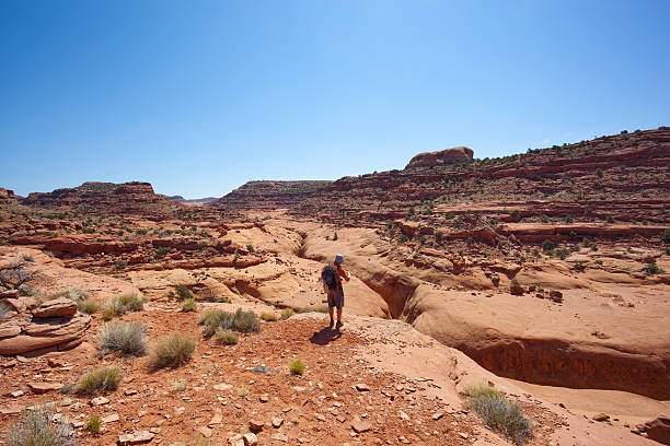 canyon deserto paese explorer - sonoran desert desert badlands mesa foto e immagini stock