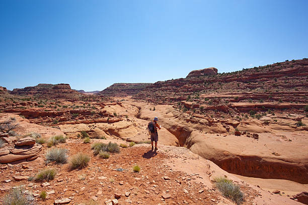 istock desert canyon country explorer 168504957